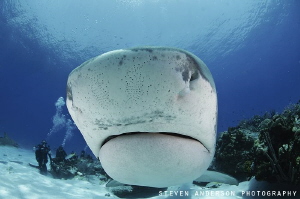 A quick inspection of my dome and her reflection before v... by Steven Anderson 